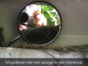 keent 065