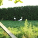sept 2011 292