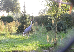 sept 2011 289