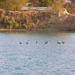 novemb 2011 033