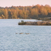 novemb 2011 038