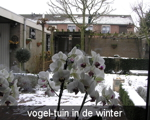 feb 2012 010