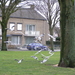 feb 2012 034