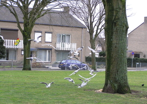 feb 2012 034