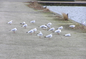feb 2012 004