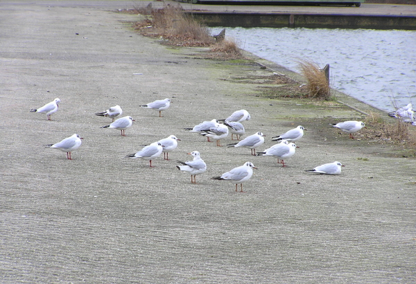 feb 2012 004