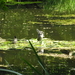 P7040112