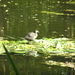 P7040119