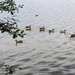 P8280216
