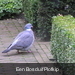 P2080003