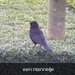 P2080007