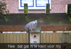 P2080010