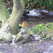 P2210023