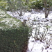 P2210053