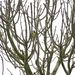 P2230024