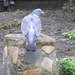 P2270053