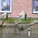 P2270069