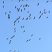 P3040066