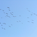 P3040069