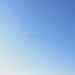 P3040070
