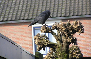 P3210005