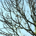 P3270026