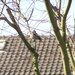 P3270041