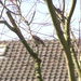 P3270042