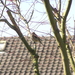 P3270043