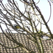 P3270047