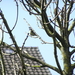 P3270051