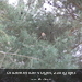 P4140029