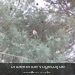 P4140031