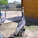 P6020020