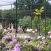 P6060001
