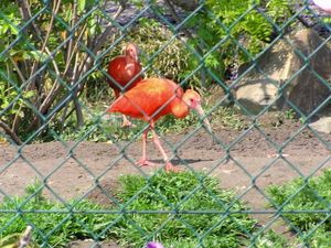 P6060005