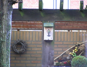 P1010067
