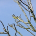 P4010007