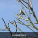 P4010011