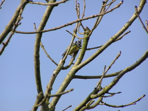 P4010046