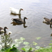 P8030025