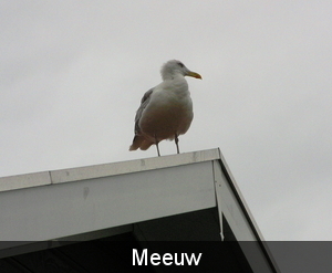 P1010175