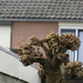P1010020