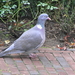 PB140033
