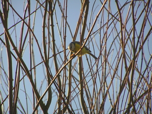 P1020008
