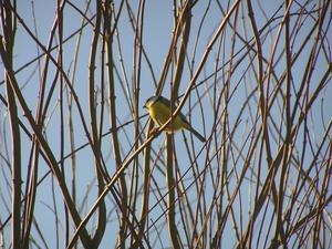 P1020009