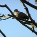 P1170036