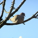 P1170040