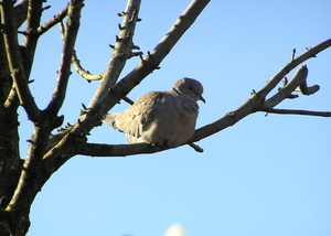 P1170040