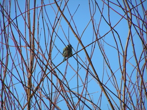 P1170056